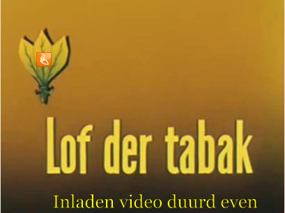 Inladen video duurd even